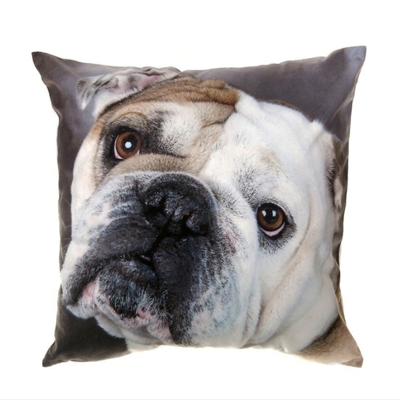 Bulldog velvet pillow, plus 2 linen pillow shams & stocking. New Bull dog decor - Picture 2 of 14